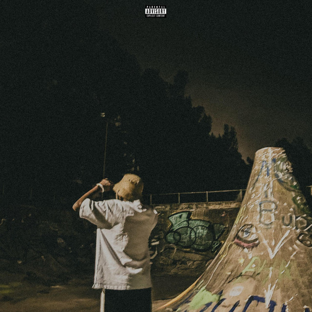 LIVE FAST & DIE YOUNG cover art