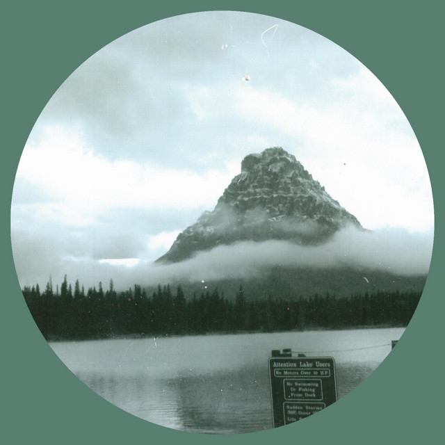 Somehow We​’​ll Grow Into Some Overlapping Oak (Selected Songs 2007​-​2022) cover art
