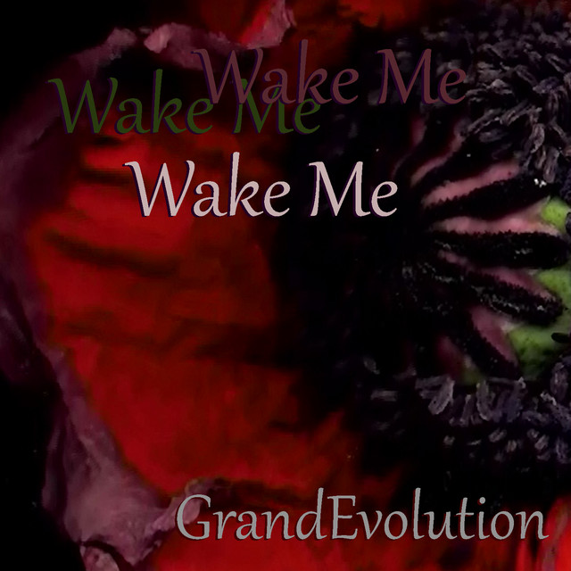 Wake Me cover