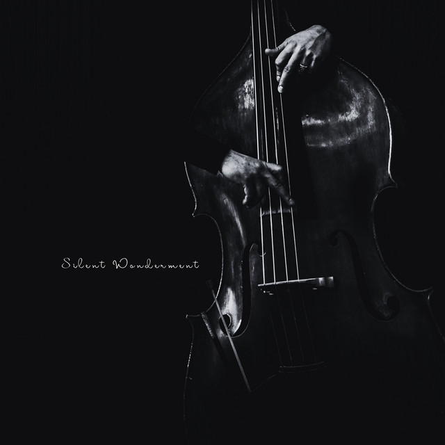 Silent Wonderment cover