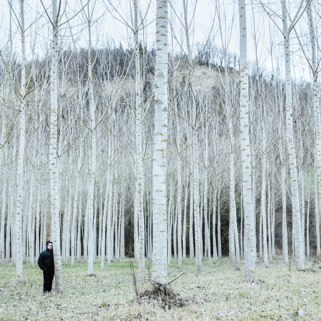 CARATTERI CUBITALI cover art
