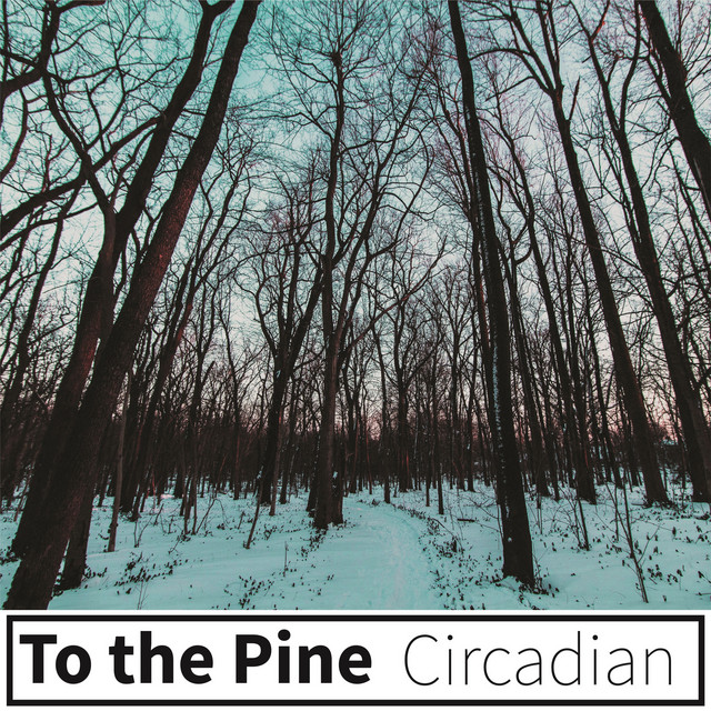 Circadian photo