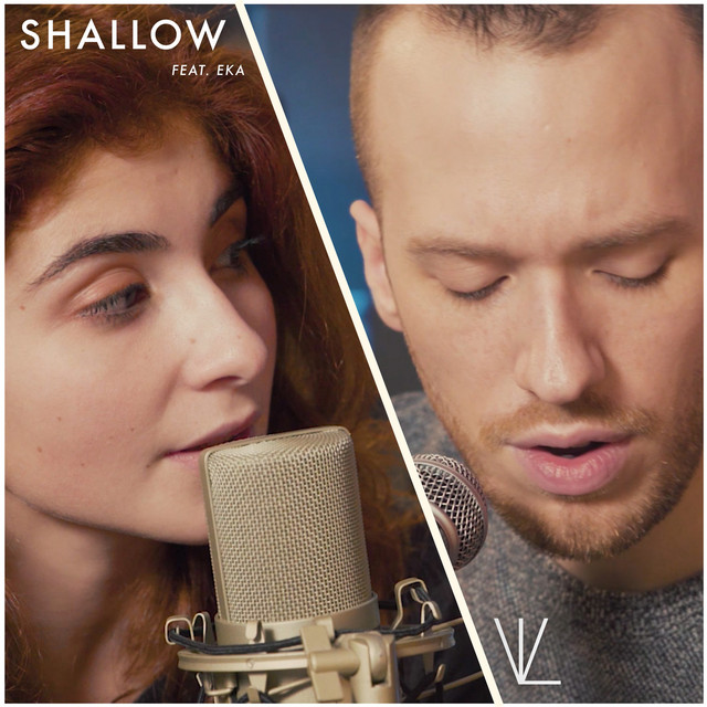 Shallow cover art