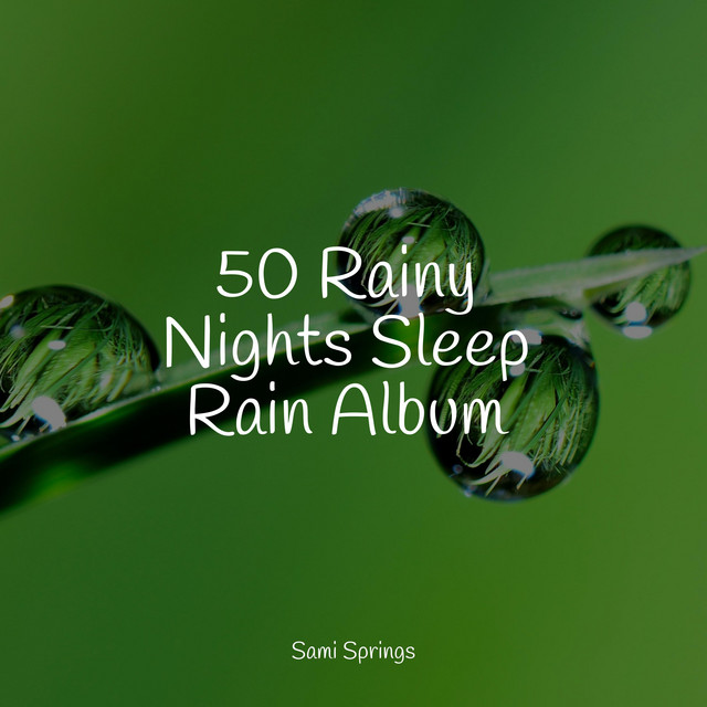 50 Winter Deep Sleep Rain Sounds - Album by Yoga Sounds | Spotify