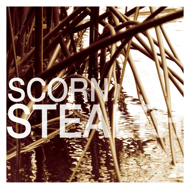 Stealth cover art