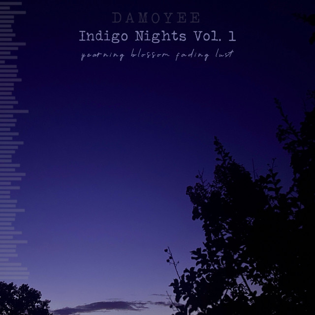 Indigo Nights Vol. 1 cover art