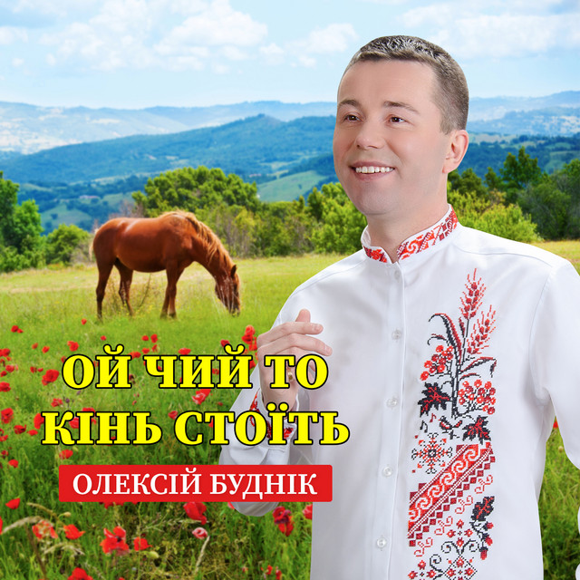 Обкладинка: Ой чий то кінь стоїть — Олексій Буднік
