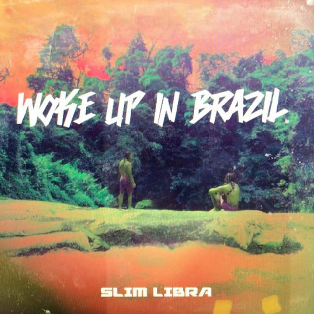 Woke Up in Brazil cover art