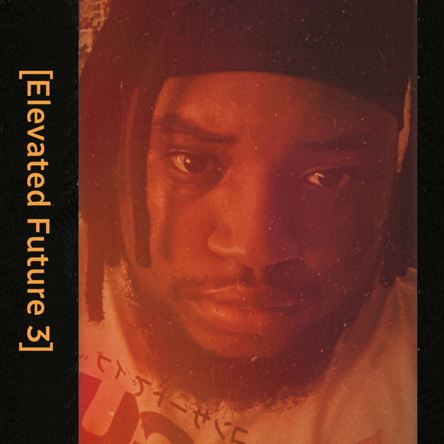 Elevated Future 3 cover