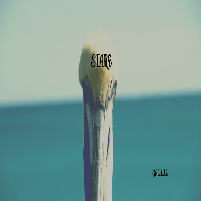 Stare cover art