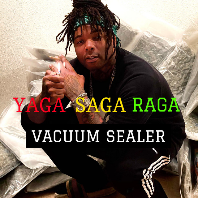 VACUUM SEALER - Single by Yaga Saga Raga | Spotify