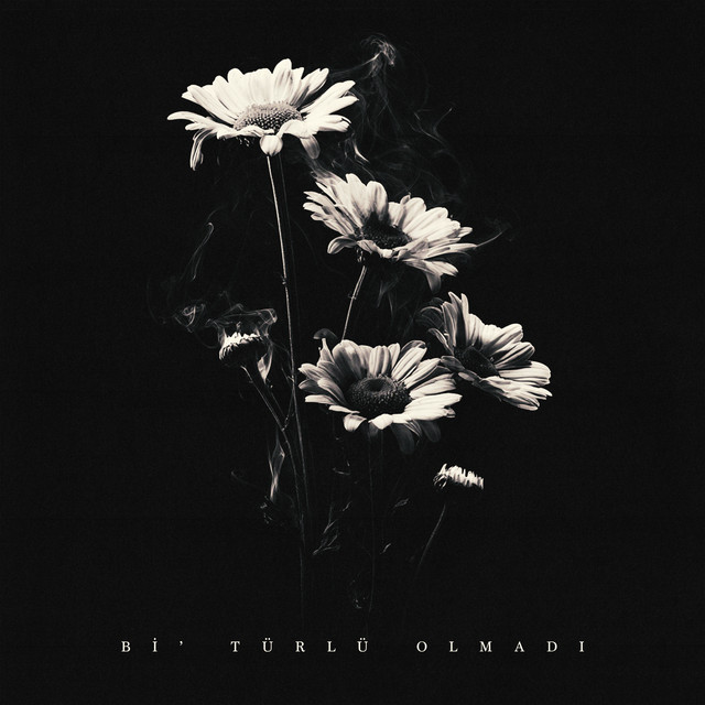 Bi’ türlü olmadı cover art