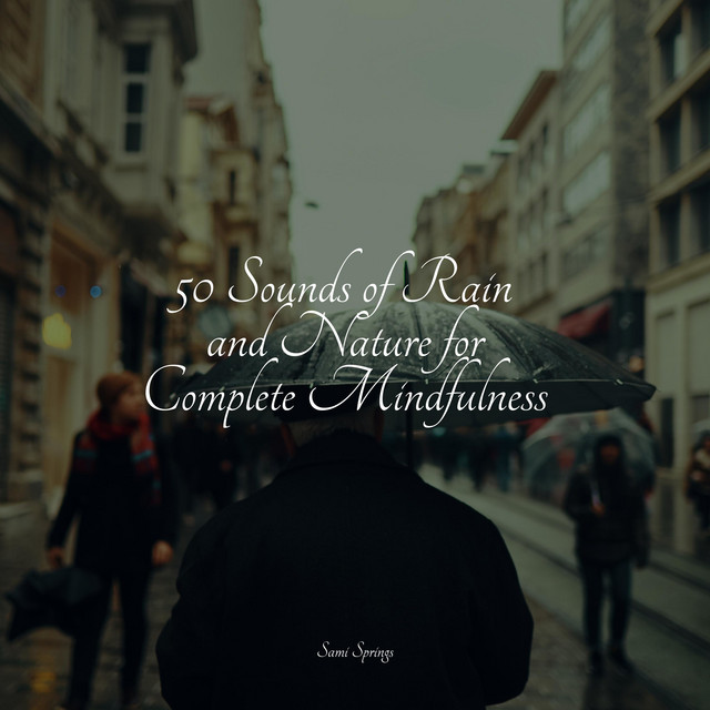 50 Sounds of Rain and Nature for Complete Mindfulness - Album by ...
