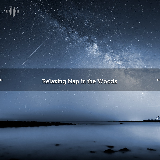 " Relaxing Nap in the Woods " cover art
