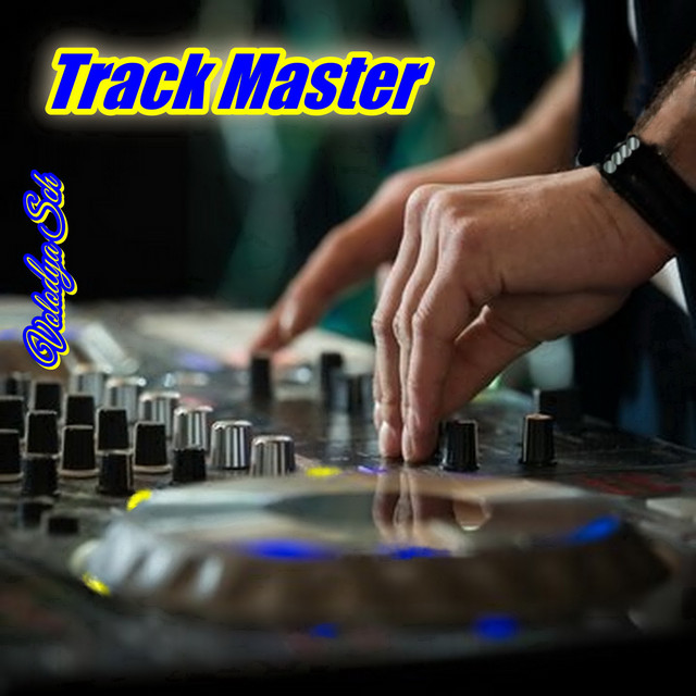 Обкладинка: Track Master — Volodya Sch