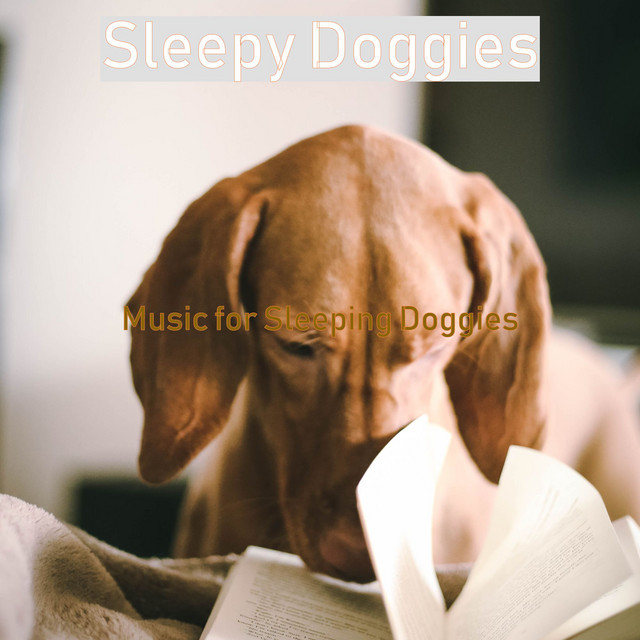 Music for Sleeping Doggies cover art