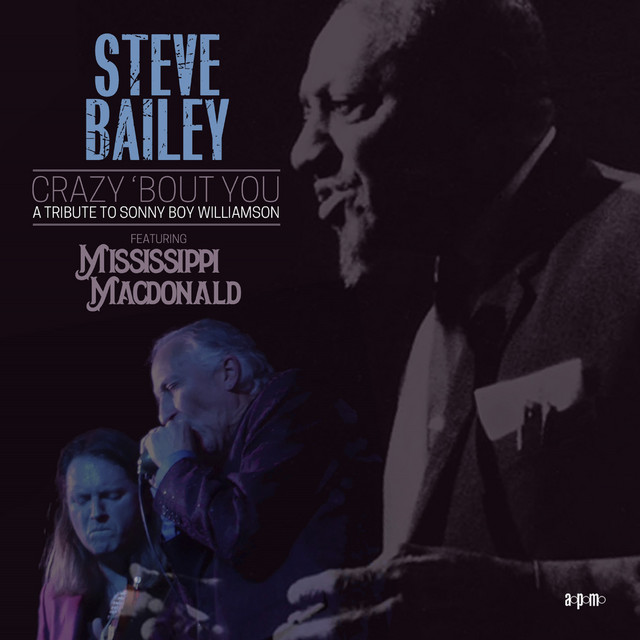 Crazy 'Bout You: A Tribute to Sonny Boy Williamson cover art