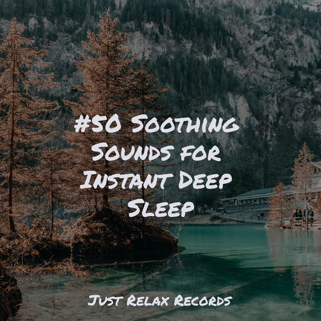 #50 Soothing Sounds for Instant Deep Sleep - Album by Musica Reiki ...