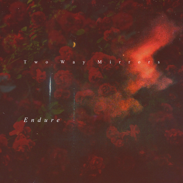 Endure cover art