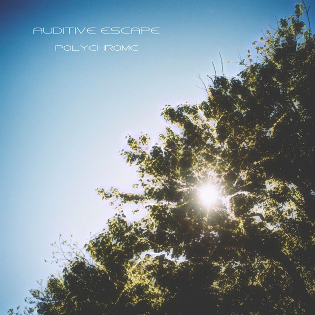 Polychrome cover art