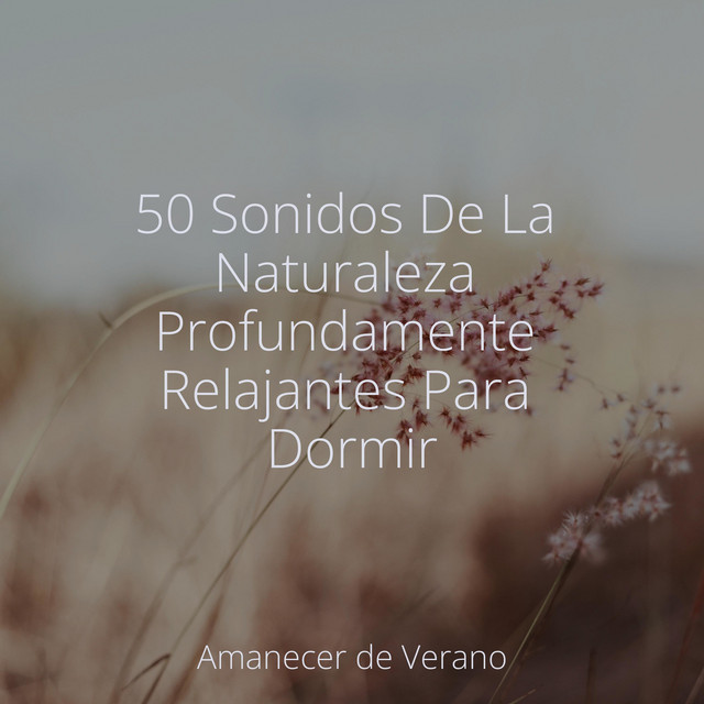 50 Sonidos De La Naturaleza Profundamente Relajantes Para Dormir ...
