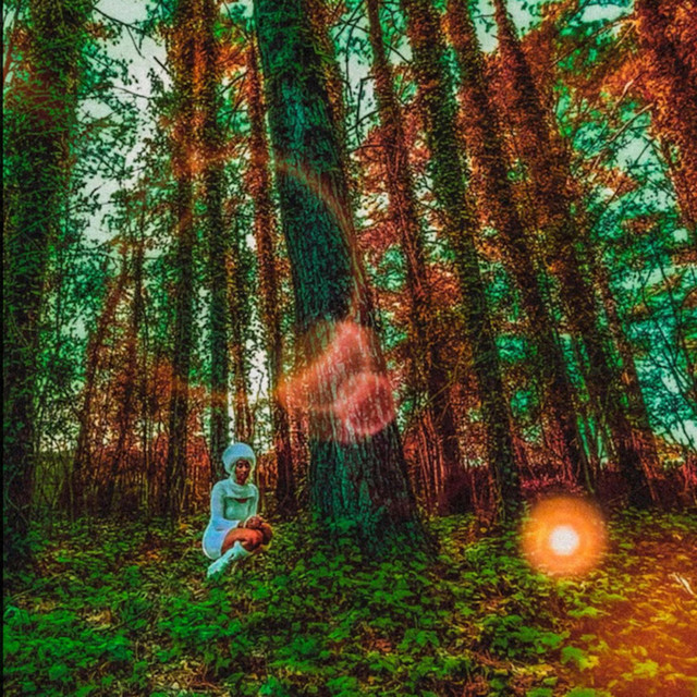 Do Not Rush Me cover art