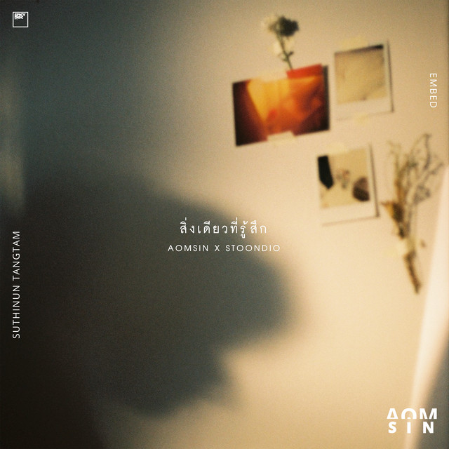 สิ่งเดียวที่รู้สึก cover art