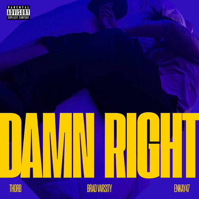Damn Right cover art