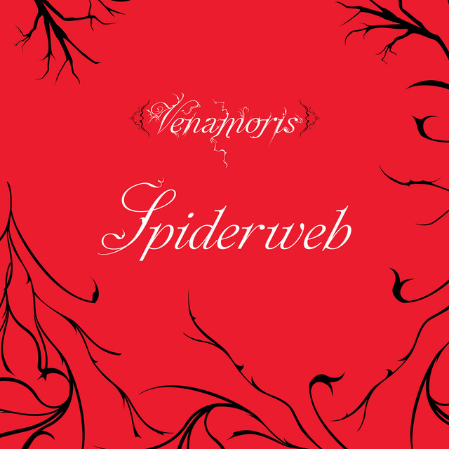 Spiderweb cover