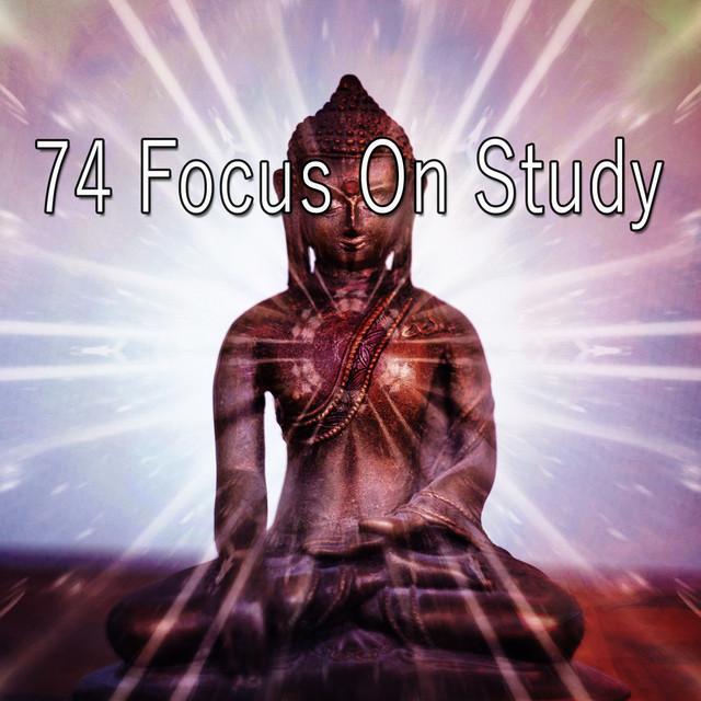 74 Focus On Study cover art