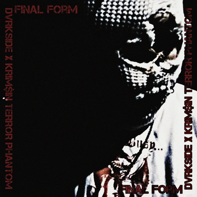 FINAL FORM cover art