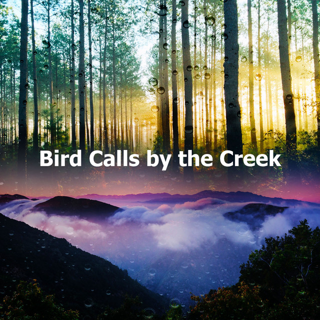 Bird Calls by the Creek - Album by Pro Sound Effects Library | Spotify
