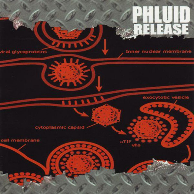 Release cover