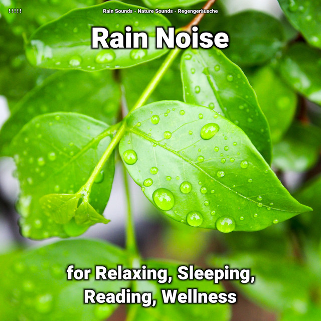 ! ! ! ! ! Rain Noise for Relaxing, Sleeping, Reading, Wellness cover art
