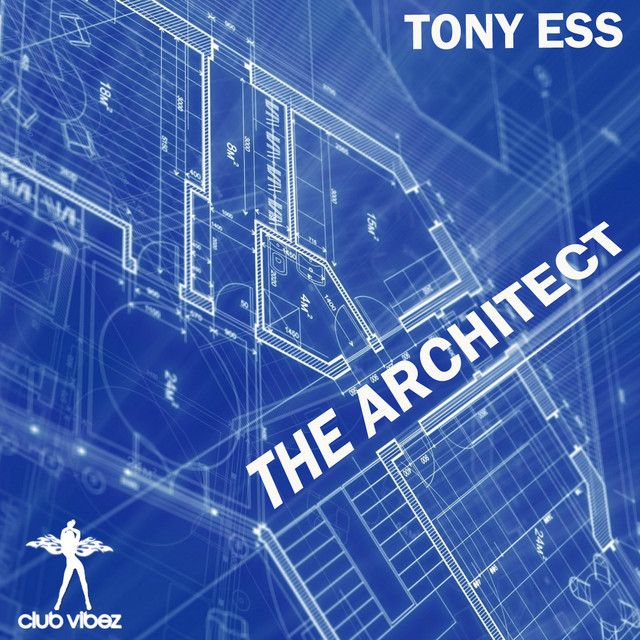 The Architect - DJ MW Mix cover art