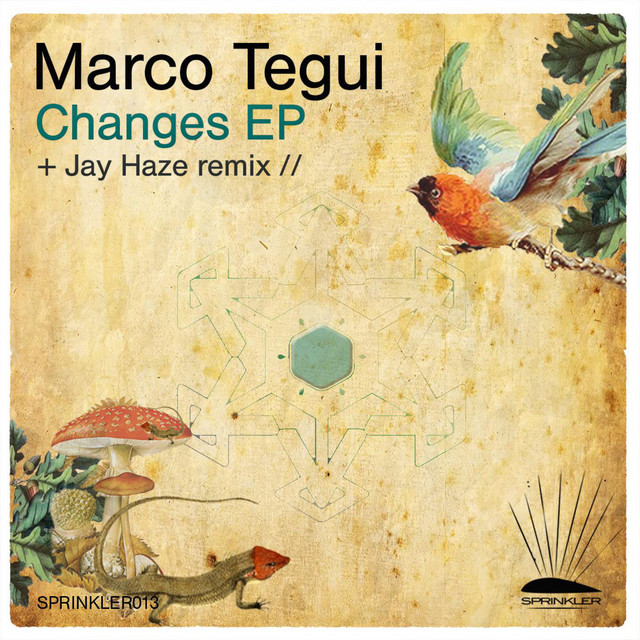 Marco Tegui – Changes