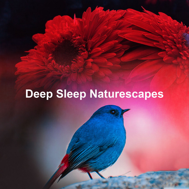 Deep Sleep Naturescapes - Album by Sounds of Nature for Deep Sleep and ...