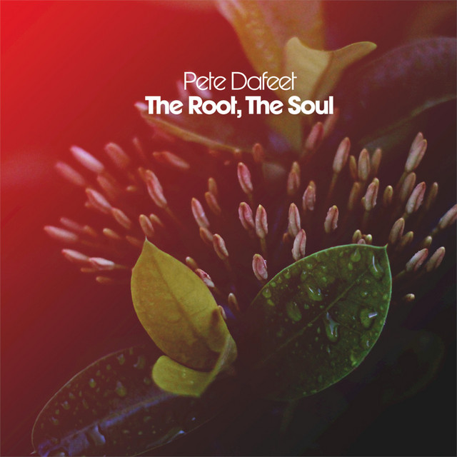 The Root, the Soul cover art