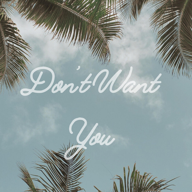 Don't Want You