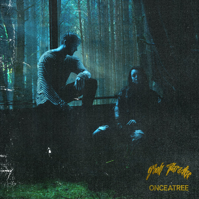 Fool's Paradise cover art