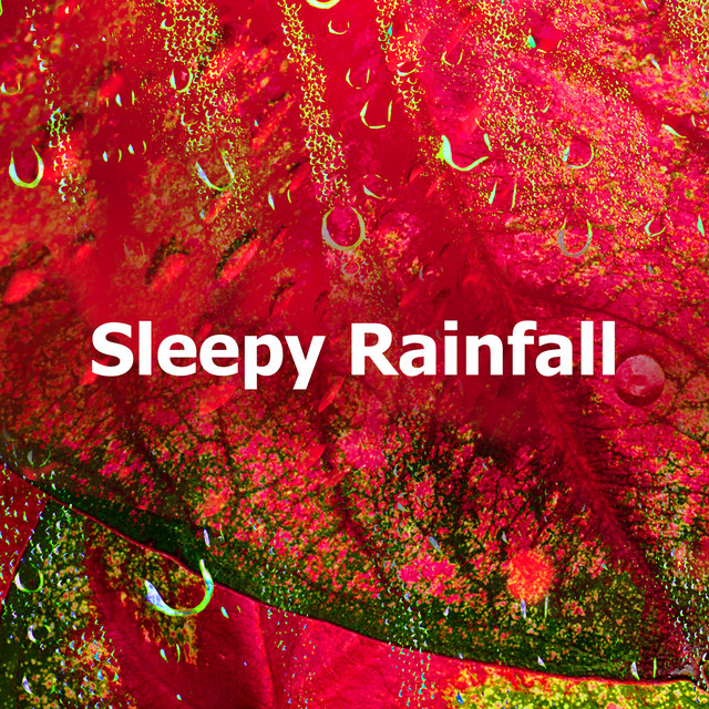 Sleepy Rainfall - Album by Rain Sounds Sleep | Spotify