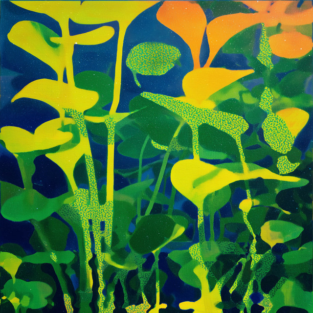 Nature Lifes cover