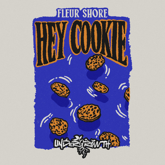 Hey Cookie - Extended Mix album art