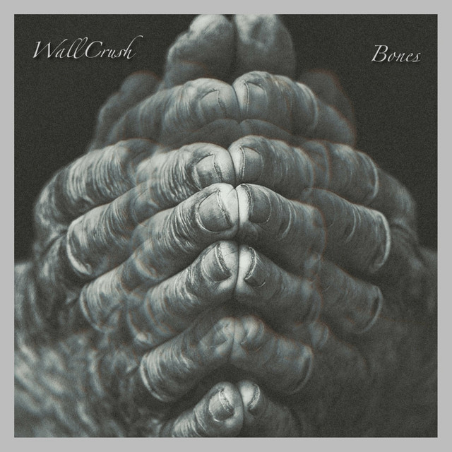 Bones cover art