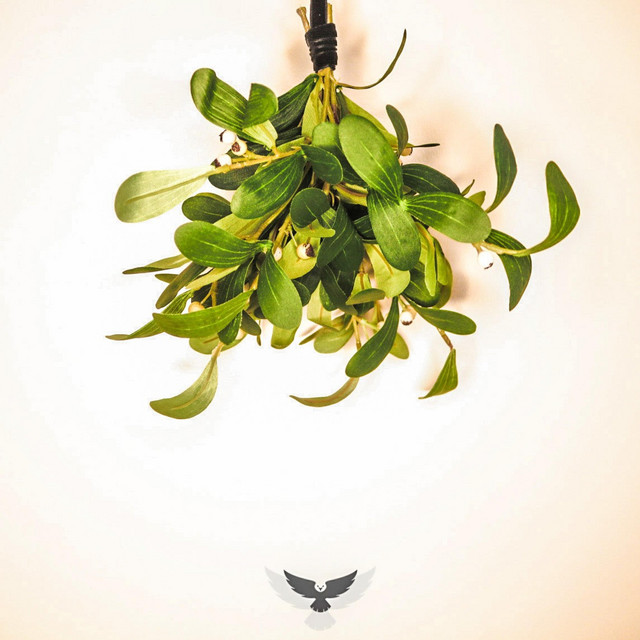 Mistletoe cover art