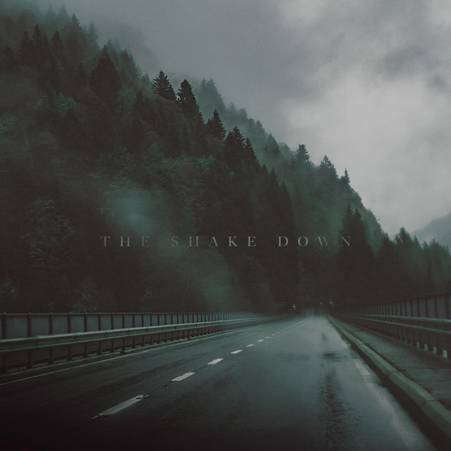 The Shake Down cover art