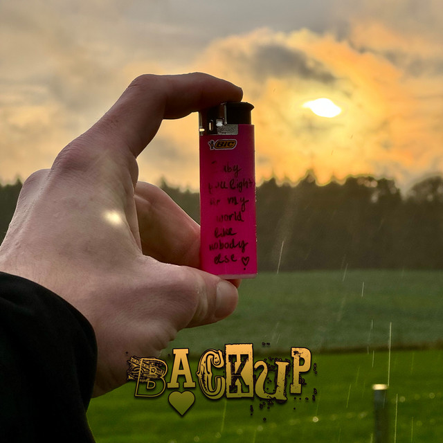 Backup cover art