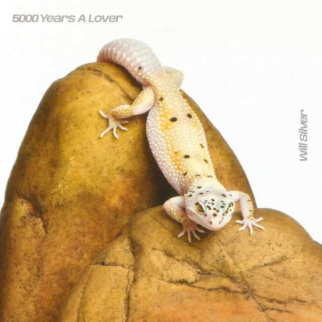 Envision cover art