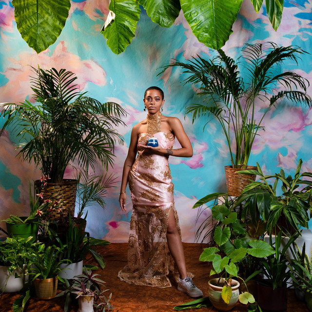 Diaspora cover art