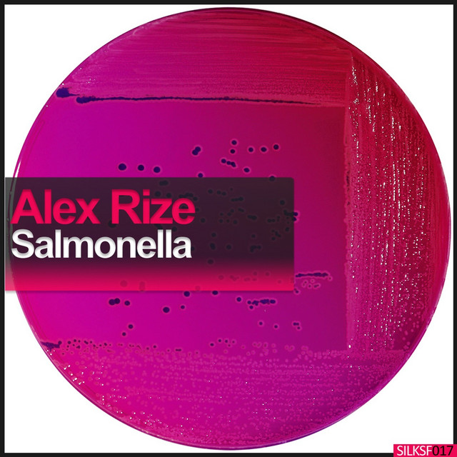 Salmonella cover